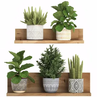 Wandtattoo Pflanzen 3D Grüne Pflanze Wandsticker Topfpflanze Wandaufkleber Blumen Kaktus Wandbilder Bonsai Vase Selbstklebend Wall Sticker Entfernbarer für Küche Wohnzimmer Bad Büro Wanddeko (D)