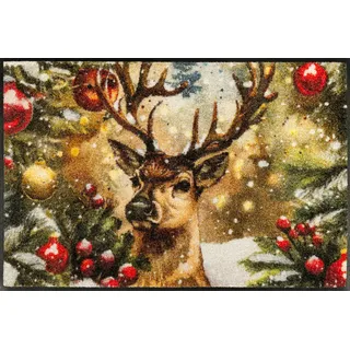 Wash+Dry by Kleen-Tex Fußmatte »Festive Spirit« rechteckig 7 mm Höhe waschbar und trocknergeeignet,