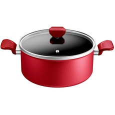 Tefal Daily Expert C2894602 Kochtopf, 24 cm, Induktion, Antihaftbeschichtung, Temperaturanzeige, Glasdeckel, Komfortgriff, leckeres und gesundes Essen, Daily Expert C2894602