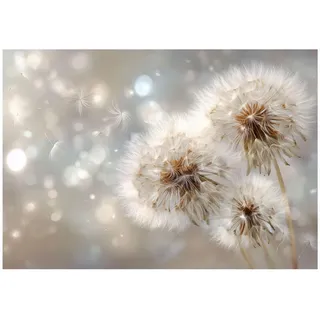 WallArena Fototapete Pusteblumen Blumen Beige 350x250 cm