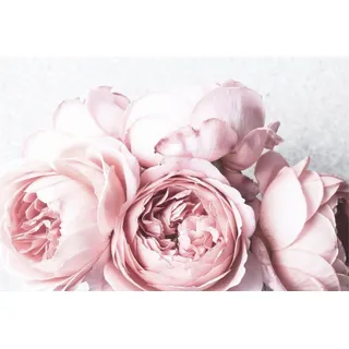 Heizkörperverkleidung Heizkörperverkleidung Pink Magnetmatte 60x100cm