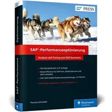 SAP-Performanceoptimierung
