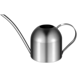 GießKanne Edelstahl 1l - Kleine GießKanne Mit Langem Auslauf FüR Zimmerpflanzen, Bonsai Und HäNgepflanzen, Innen- Und AußEnbereich, Silber