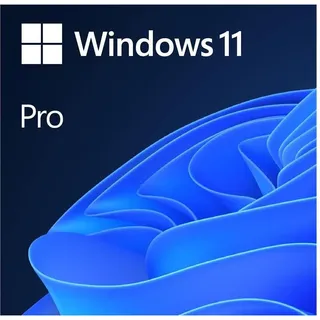 Microsoft Windows 11 Pro 64-Bit OEM IT