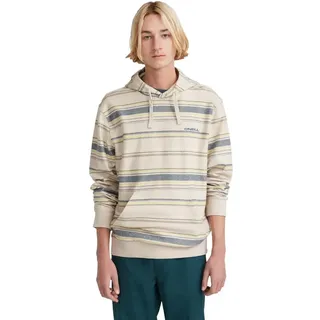 O'Neill Bavaro Hoodie Grey Vintage Stripe M