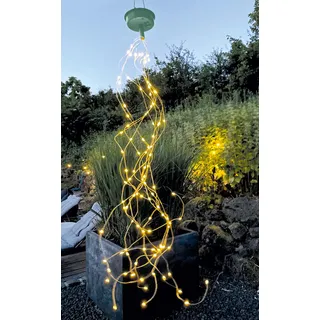 Moses Blatt & Blüte Solar-Lichtregen
