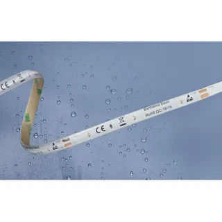 Barthelme Basic Barthelme Basic, 51540433 51540433 LED-Streifen mit offenem Kabelende 12 V/DC 5 (Neutralweiss, 500 cm, Indoor, Outdoor)