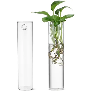 SOLUSTRE 2 Stück Wandvasen Glas mit Zylindrischer Form Geeignet für Vermehrte Pflanzen in Vase zur Wandmontage als Dekorative Glas Pflanztöpfe