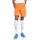 Puma teamGOAL Shorts M