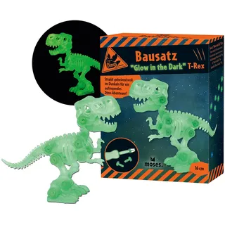 Moses Moses. Dino Bausatz Glow in-The Dark - leuchtender Dino-Bausatz mit Werkzeugen, 21 Teile inkl. Anleitung, T-Rex zum Zusammenbauen, DIY-Spielzeug für Kinder ab 6 Jahren