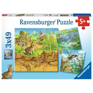 Ravensburger Tiere in ihren Lebensräumen (08050)