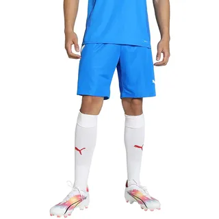 Puma Teamliga Shorts puma black-puma white (03) XL