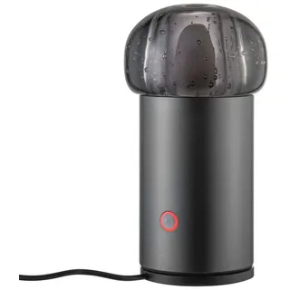 BLOMUS IRIS Anthrazit