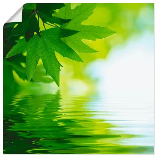 Artland Wandbild »Grüne Blätter reflektieren im Wasser«, Blätter, (1 St.), als Leinwandbild, Poster, Wandaufkleber in verschied. Größen, grün