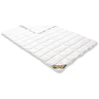 Badenia Trendline Steppbett Wasch-Seide, 135 x 200 cm, weiß, produziert nach deutschem Qualitätsstandard