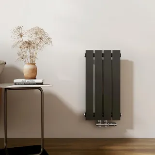 EMKE Heizkörper Klein 600x300mm, Vertikal Heizkörper Bad Flachheizkörper Mittelanschluss Design Paneelheizkörper Einlagig Wandheizkörper Schwarz 233 Watt