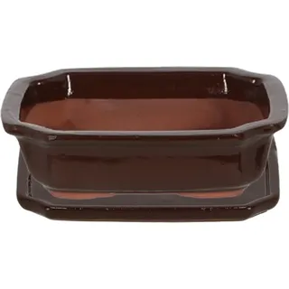 Esschert Design | Terrakotta Pflanzkübel, Bonsai Topf 21x6 cm, Dunkelbraun - Elegant, Funktional - Braun