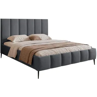 Selsey Polsterbett Sarafino Dunkelgrau Samt 180x200 cm , Textil , 180x200 cm , Schlafzimmer, Betten, Polsterbetten