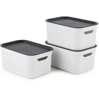 Rotho Aufbewahrungskorb 3er-Set 5 L stapelbar 5 x 30 x 20 cm grau