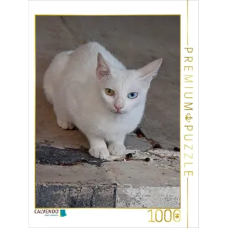 CALVENDO Puzzle Katze der Rasse Türkisch Angora | 1000 Teile Lege-Größe 48 x 64 cm Foto-Puzzle für glückliche Stunden