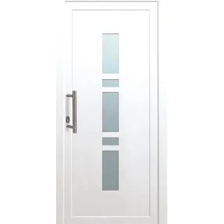 Kunststoff-Haustür K017 Weiß 100 cm x 200 cm Anschlag Links