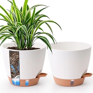 T4U 2er Set 20cm Selbstbewässernder Blumentopf mit Wasserstandsanzeige, für Monstera & Gummibaum, pflegeleicht, Blumentopf Gross innen & pflanzkübel groß außen, Weiß