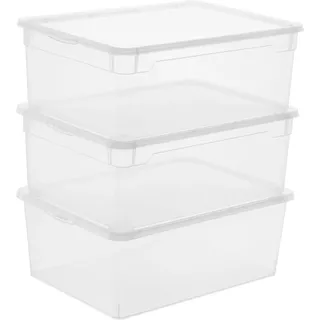 Rotho Clear Box-Set Men Shoe 10 l Transparent 3-teilig