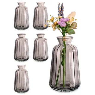 Praknu Kleine Glasvasen für Tischdeko - 6er Set - Vintage Charme - Runde Minivasen - Spülmaschinenfest - Perfekt für Hochzeit Tischdeko - Grau