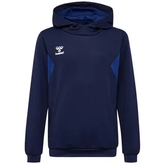 hummel hmlAUTHENTIC PL Hoodie Kids