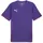 Puma teamGOAL Trikot Lila XXL