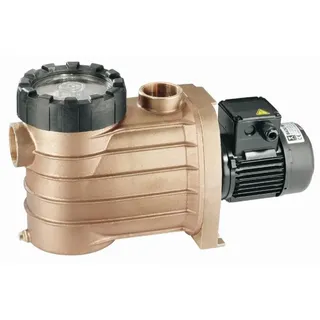 Speck BADU Bronze 25 400 V Schwimmbad Poolpumpe