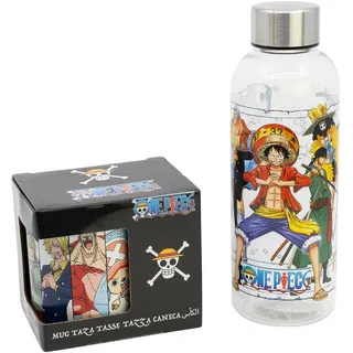 One Piece Set aus Hydro-Plastikflasche, 850 ml und Keramikbecher, 325 ml