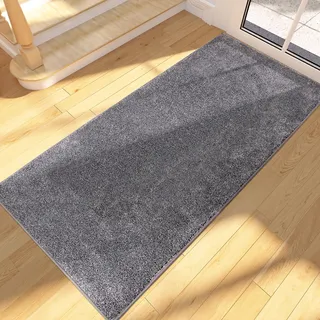 FCSDETAIL Schmutzfangmatte Innen Lang 60 x 150 cm, rutschfeste waschbare Fußmatte, absorbierend Türmatte, Fussmatte Läufer Teppich für Hund, Eingang, Flur, Küchen, Korridor