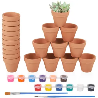 Hejo 20 Stück Tontöpfe Klein, 3×3,5cm Mini Blumentöpfe, Tontöpfe zum Bemalen mit 2 Pinseln und 12 Farben, Sie Können DIY Kleine Tontöpfe, Terracotta Blumentopf für Drinnen und Draußen Dekorieren