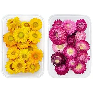 Kellegour 2 Boxen Natürliche Getrocknete Blumen,Natürliche Trockenblumen,Blumen Natürliche Gemischte,Trockenblumen Set,für Verschiedene DIY Dekorationen,Kerzen,Grußkarten,Umschläge,Fotorahmen