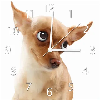 Wallario Design Wanduhr Lustiger Hund mit fliegenden Ohren aus Echtglas, Größe 30 x 30 cm - Weiß