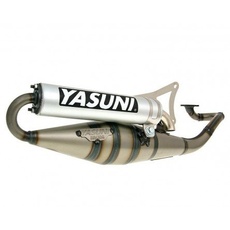 Auspuff YASUNI Scooter Z Aluminium - MOTOWELL Magnet RS 2-Takt