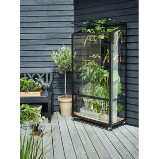 Juliana City Greenhouse - Transparent