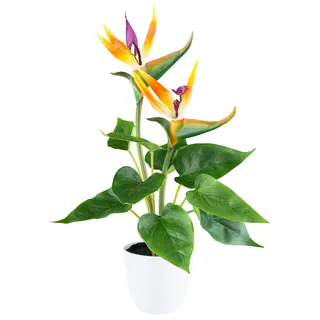 Creativ green Kunstpflanze »Strelitzia« mit 2 Blüten, orange