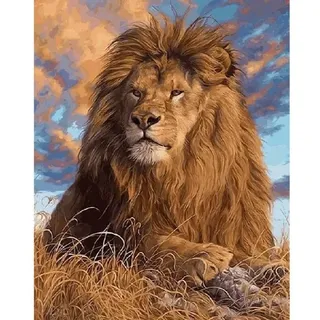 Pracht Creatives Hobby GmbH Diamond Painting Löwe 40x30 cm