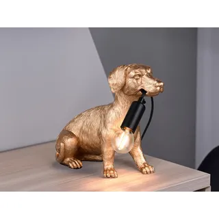 Lustige LED Nachttischlampe besondere Hundelampe Wohnzimmer Gold, Höhe 23,5cm