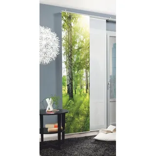 Home fashion HOME WOHNIDEEN Schiebegardine »NEWCASTLE« Klettband 1 Stk. tlg. HxB: 245x60, inkl. Befestigungszubehör, grün