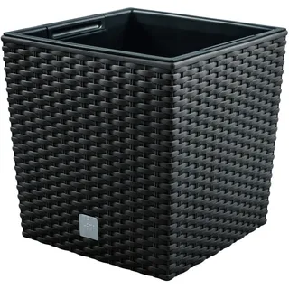 Prosperplast Rato Low 17 x 17 x 17 cm anthrazit