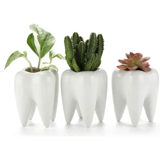 T4U Sukkulenten Topf Keramik Zahn-Form Weiß 3er-Set Mini-Pflanzgefäß für Kakteen Stiftehalter Bürodekoration