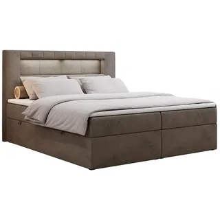 MKS Boxbett Gold-5 LED 200/200 Braun Velvet - H3 , Textil , H3 , Rechteckig , 200x200 cm , Schlafzimmer, Betten, Boxspringbetten