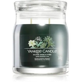 Yankee Candle Silver Sage & Pine Duftkerze 368 g grün
