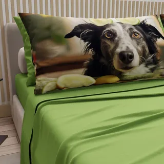 PETTI Artigiani Italiani - Bettwäsche Tiere mit Hunden aus Baumwolle mit Kissenbezügen im Digitaldruck, Bettwäsche für Doppelbett, grün, 100% Made in Italy