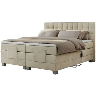 MKS Meble Boxspringbett mit Bettkasten - beige - Maße (cm): B: 208 H: 118