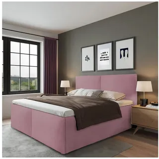 Halmon Schlafkomfort Betten Polsterbett Milano Rose 140 x 200 cm Stauraum unter der Liegefläche ohne hydraulische Funktion Ohne Matratze und Lattenrost - Rosa