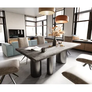 DELIFE Esstisch Edge 200x100 XL Akazie Platin Troa Edelstahl Graphit Live-Edge - Grau